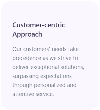 Celerity Customer centric approach